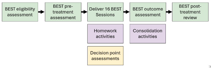 A flowchart showing the stages of BEST